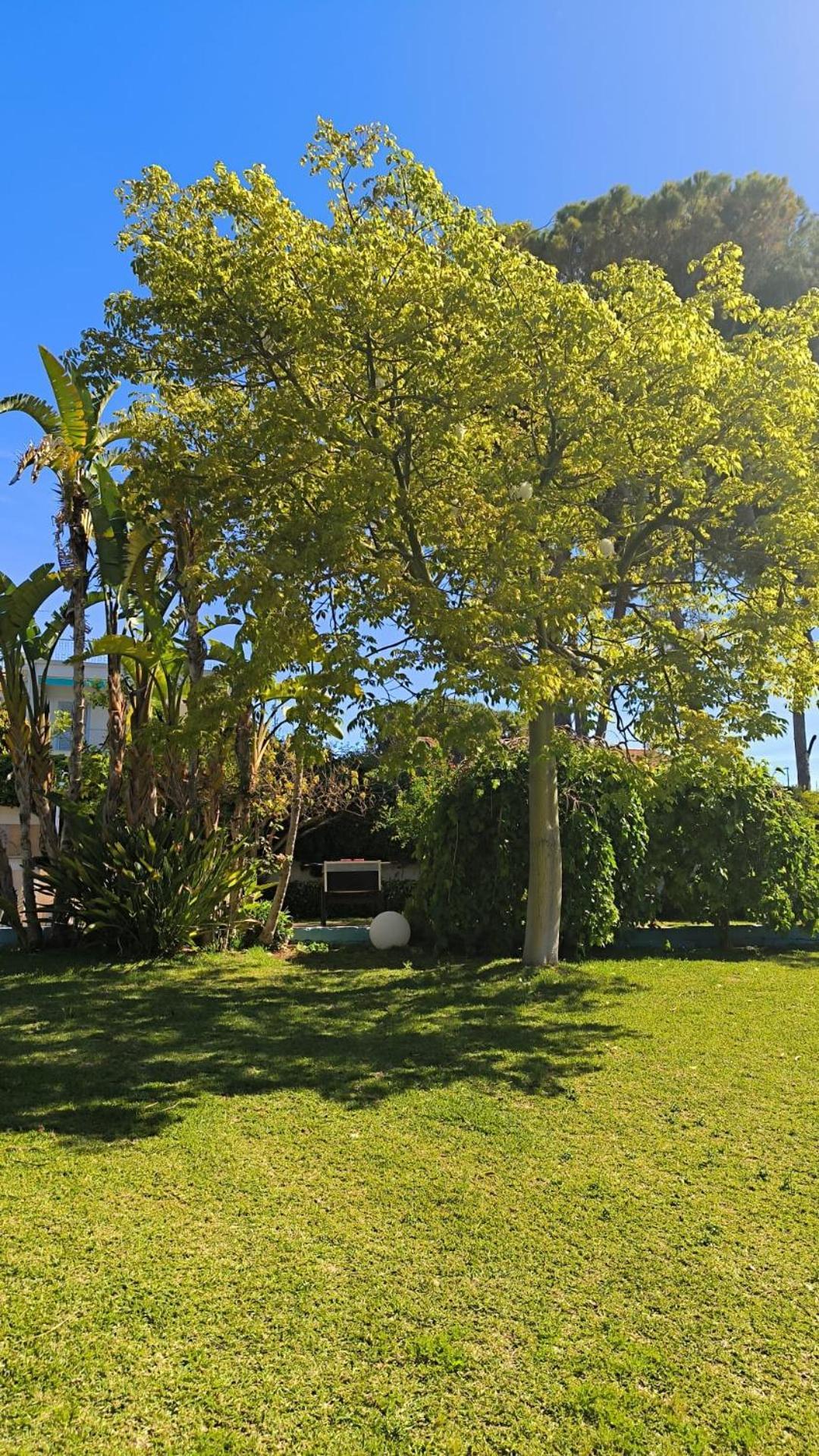 Small Luxury Apartments Pool And Sea View - Stella Del Mare Fontane Bianche Exterior photo